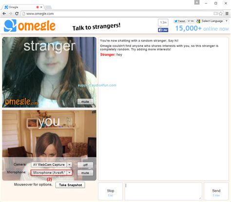 omegle vip|Omegle Privacy Notice